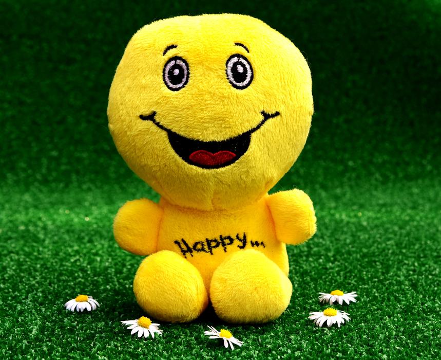Smiley Happy Funny