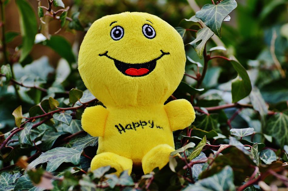 Happy Smiley Laugh toy