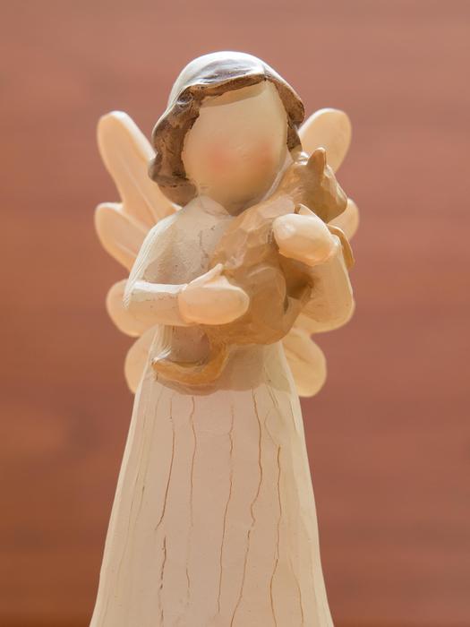 Angel Guardian Wing