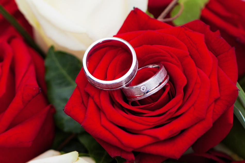 Rose Wedding Together