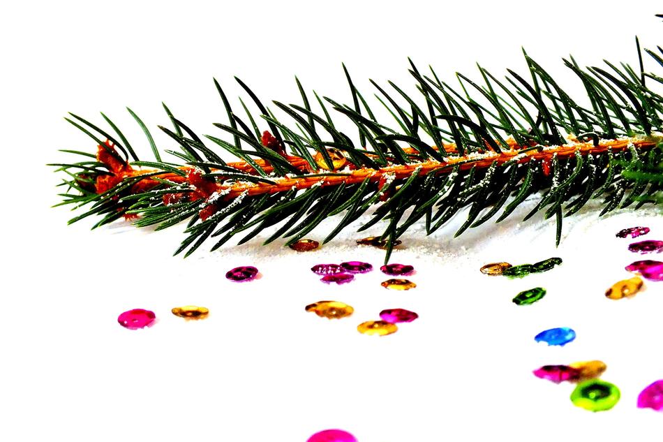 Spruce Photos Of Christmas