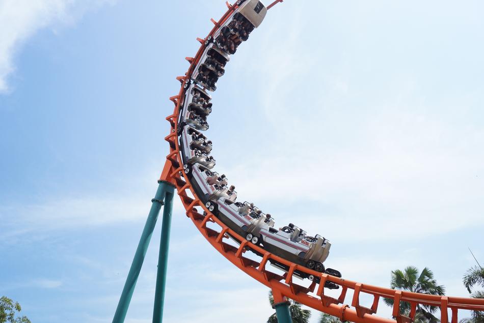 Roller Coaster Enjoy