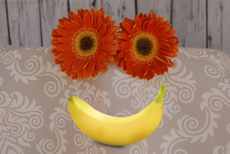 Flower Flora Freshness