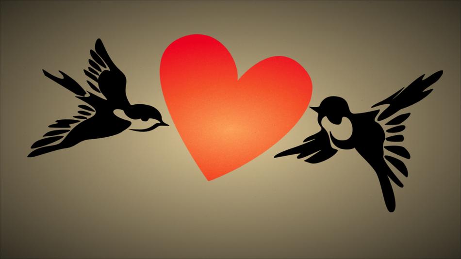 love heart birds freedom together