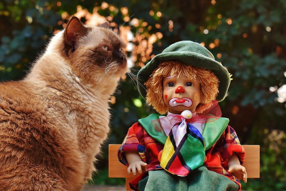 Doll Clown Sad