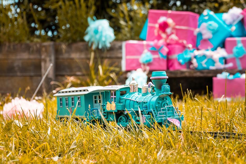 Train Gras Garden