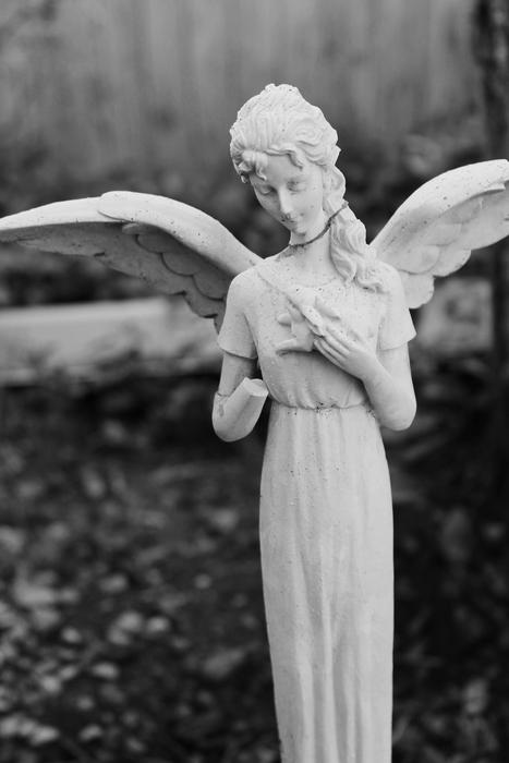Guardian Angel Wings