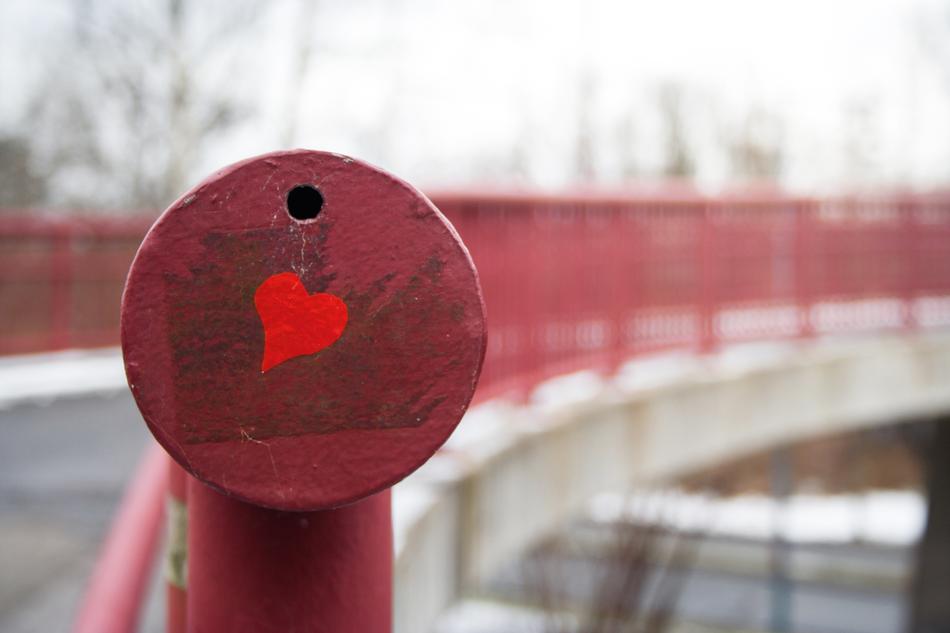 City Nature Heart