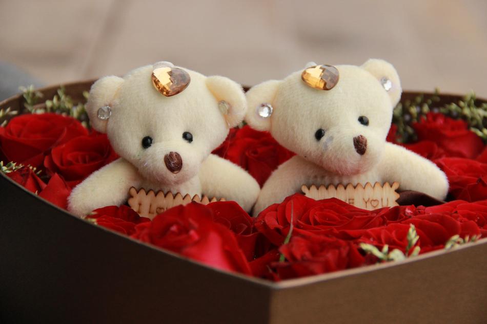 Love Rose Cubs