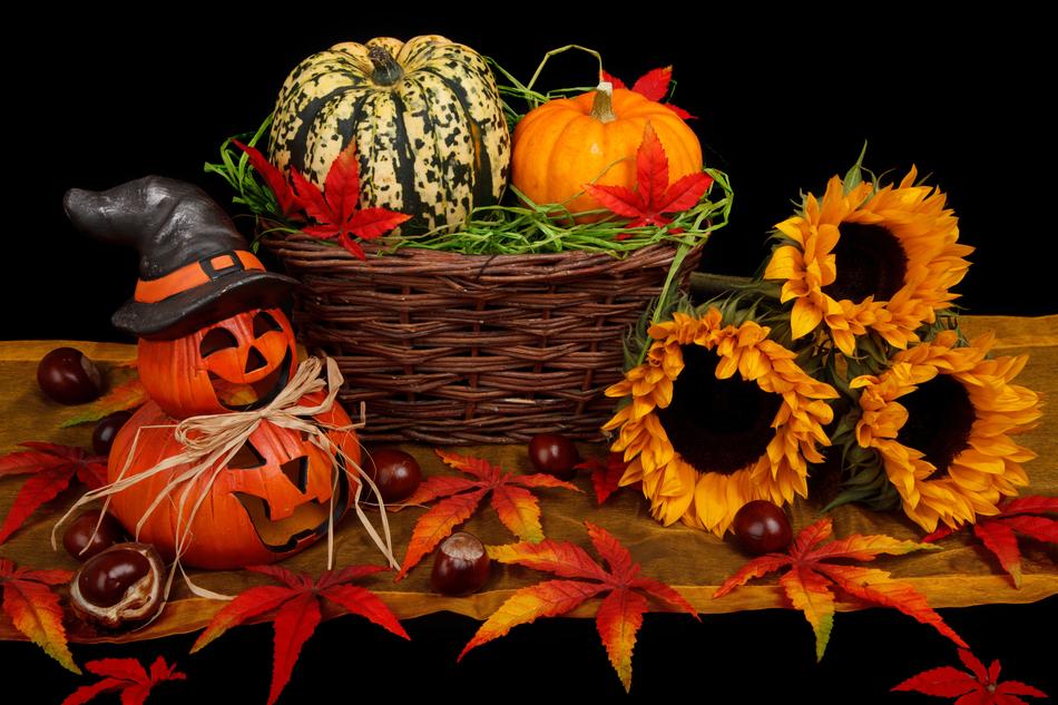 Autumn Black Dark