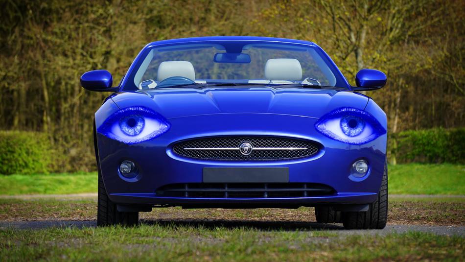 Sports Car Eyes Face
