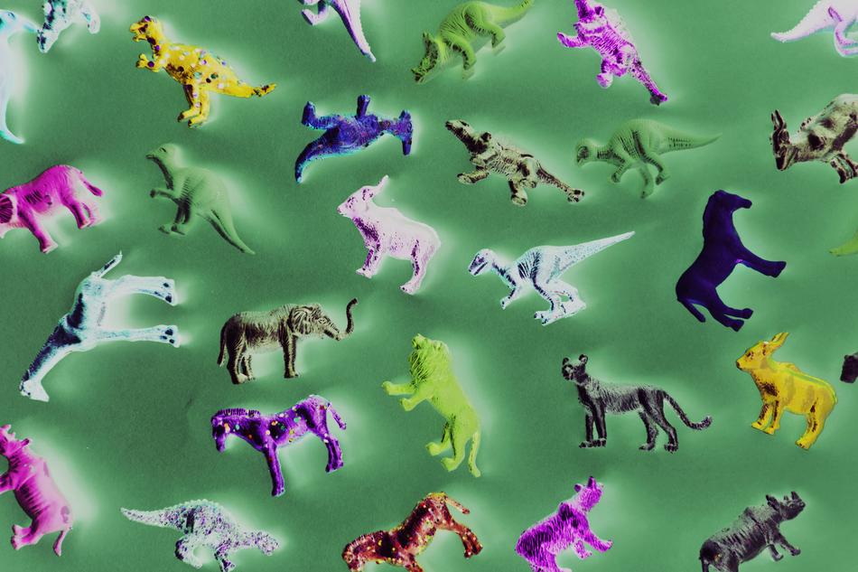 Ancient Animals Childhood