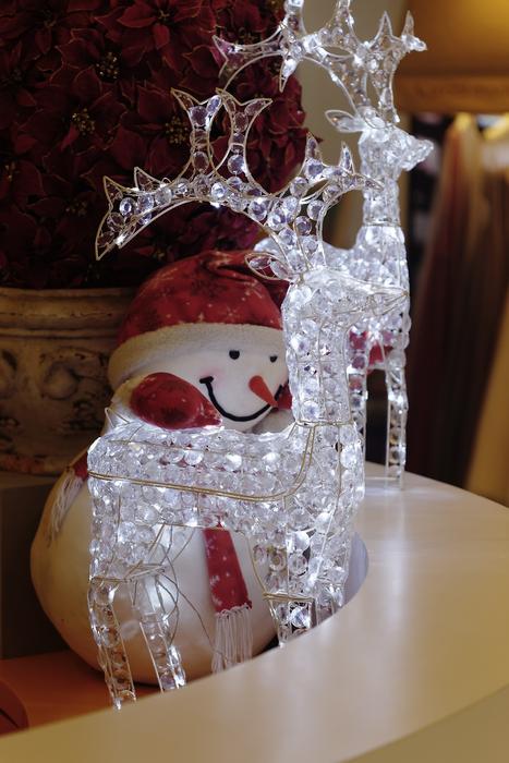Xmas Led Transparency