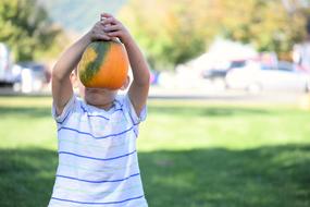 Boy Pumpkin Harvest