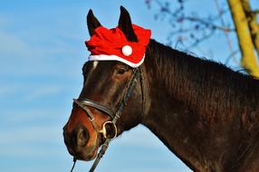 Horse Christmas Santa Hat