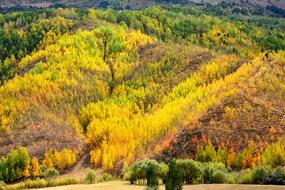 Kackars mountains Nature Landscape