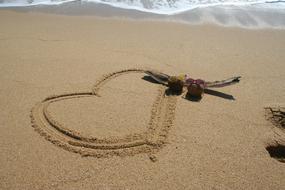 Heart Love Coconut