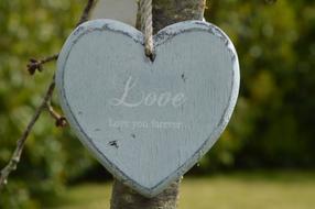 Heart Love Valentine
