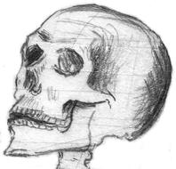 Skull Halloween Bone illustration