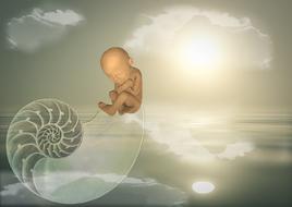 child birth shell baby newborn