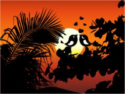 birds silhouettes sun love