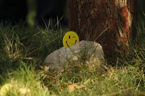 Yellow Smiley on stone in Grass