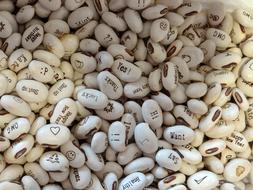 Beans Love Heart