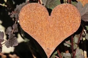 Heart Love