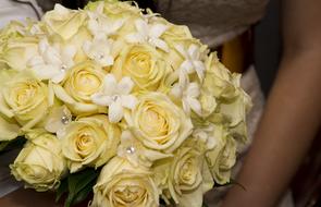 Rose Yellow Bouquet