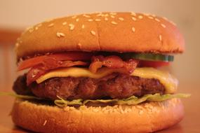 Burger Cheesburger Patty