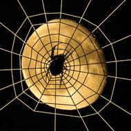 Spider Moon Halloween