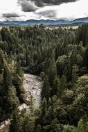 Bach River Ammer Gorge