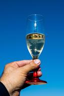 Toast Sky Cup