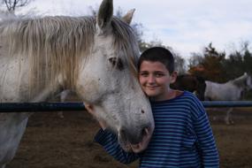 Horse Boy Love