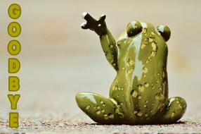 good bye farewell sad frog funny