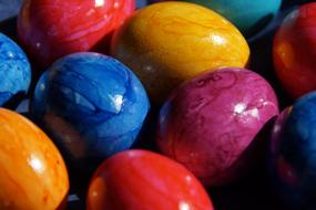 Easter Eggs Spring Bunny
