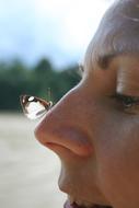 Butterfly Nose Nature