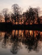 Abendstimmung River Trees