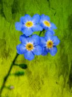 small blue flowers on a green background