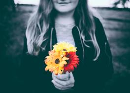 Flower Red Yellow