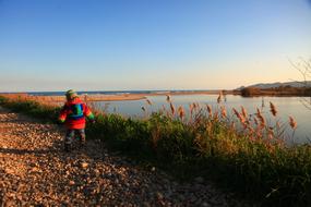 child spends time on a walk