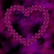 rose pink flower stars sparkles