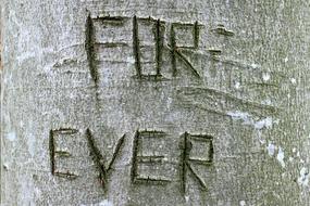 Tree Carved Name