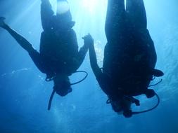 people immersed in blue water