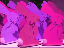 Easter Bunny Rabbit