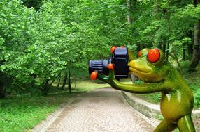 Frog Photographer Funny