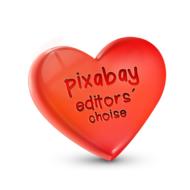 pixabay editors choise heart