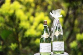 Green Bottles alcohol beverage