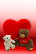 Bear Stuffed Animal Teddy