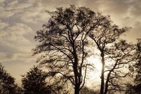 November Mood Landscape